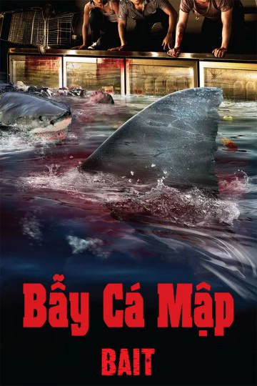 Bẫy Cá Mập - Bait