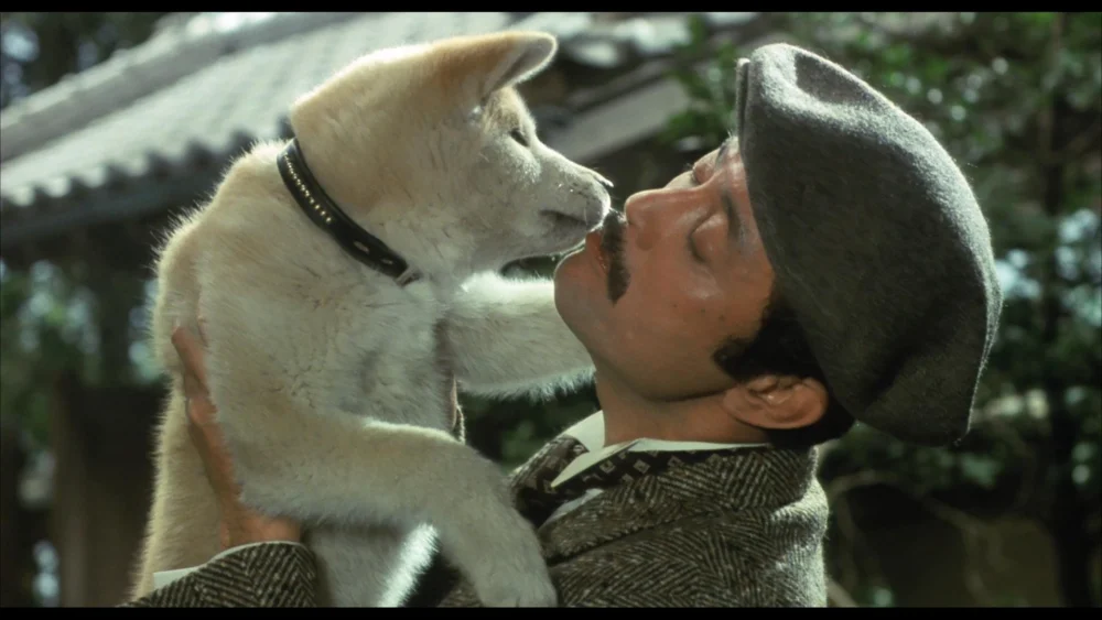Câu Chuyện Về Chú Chó Hachiko - Hachi-ko (1987) Câu Chuyện Về Chú Chó Hachiko - Hachi-ko (1987)