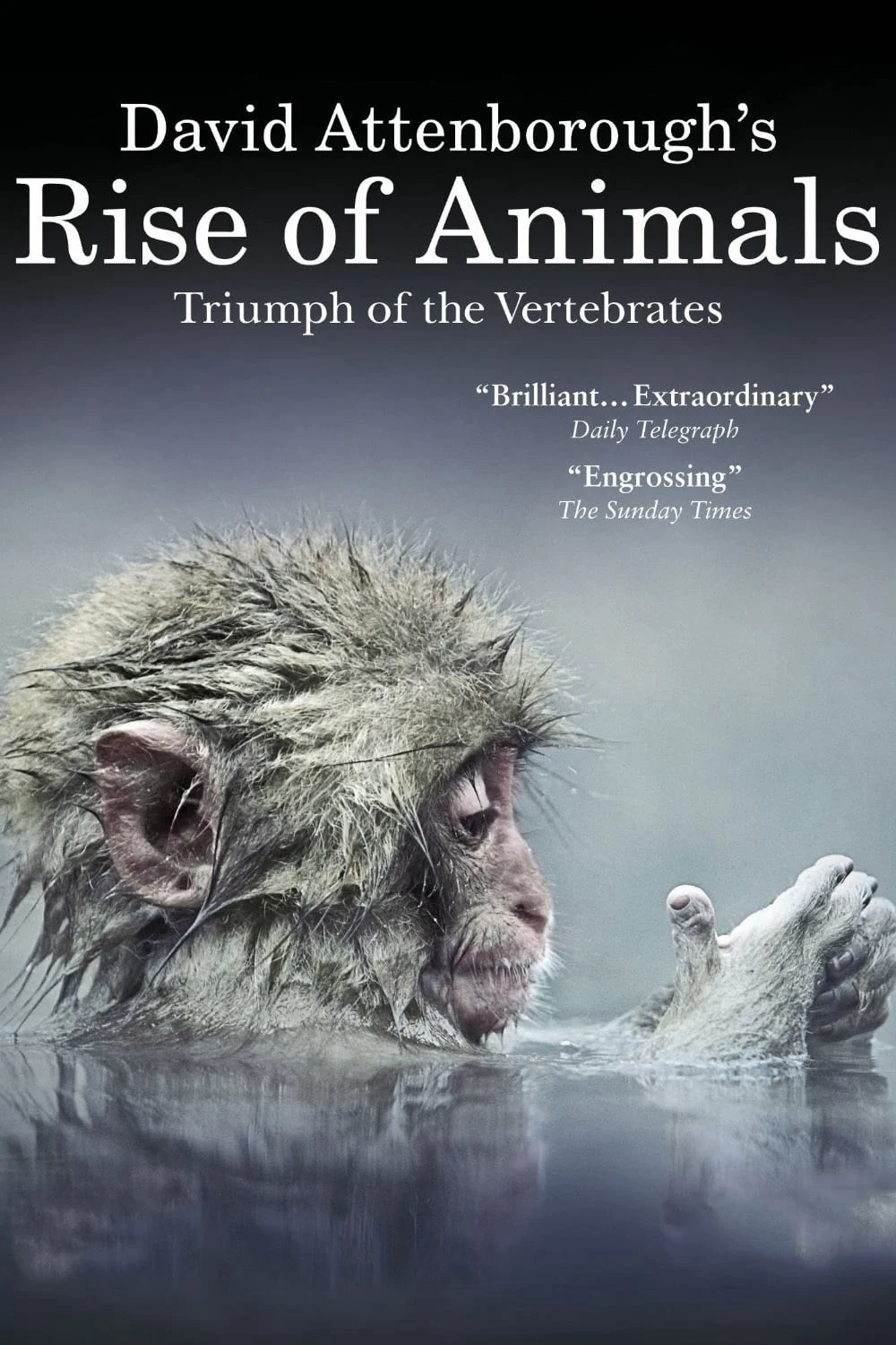 David Attenborough’s Rise of Animals: Triumph of the Vertebrates - David Attenborough's Rise of Animals: Triumph of the Vertebrates