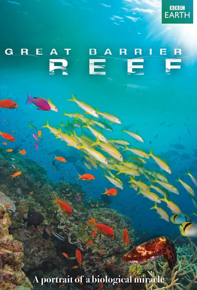 Great Barrier Reef - Great Barrier Reef