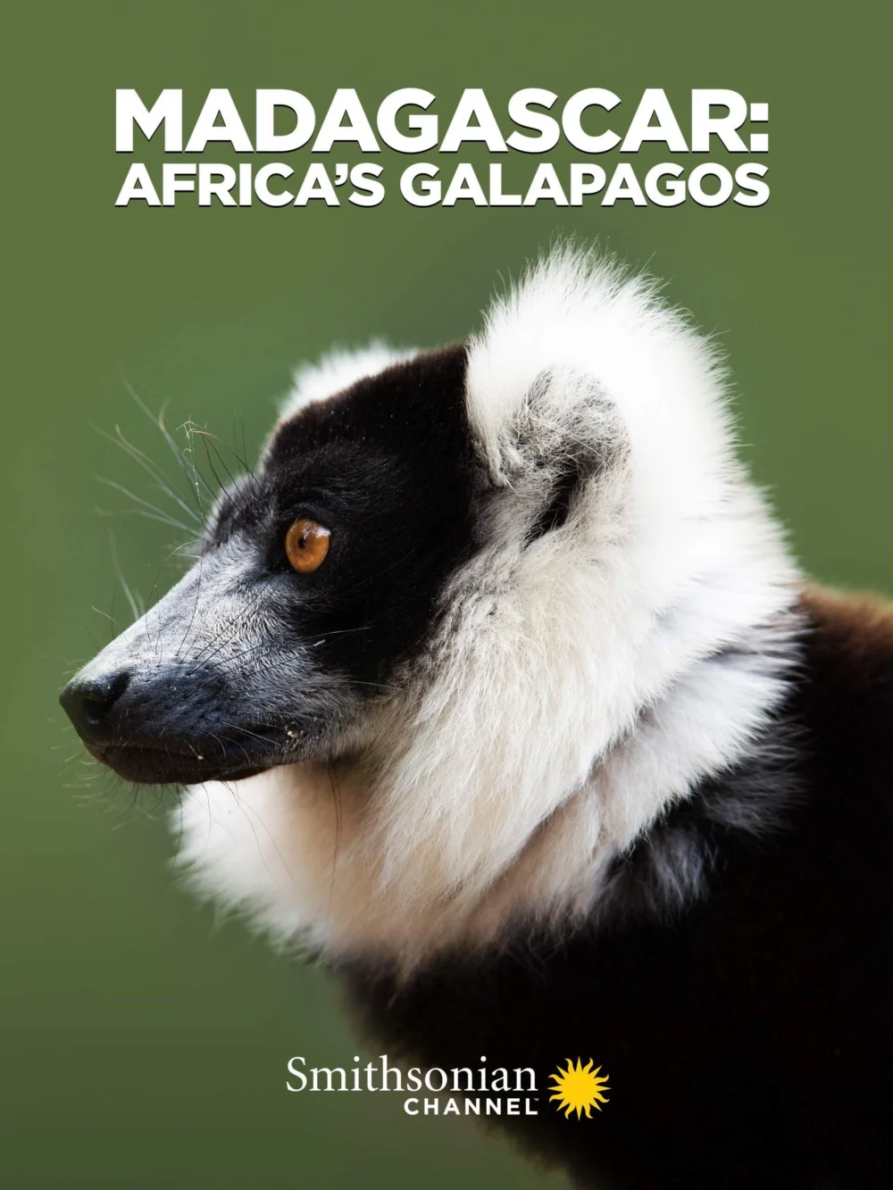 Madagascar: Africa’s Galapagos - Madagascar: Africa's Galapagos