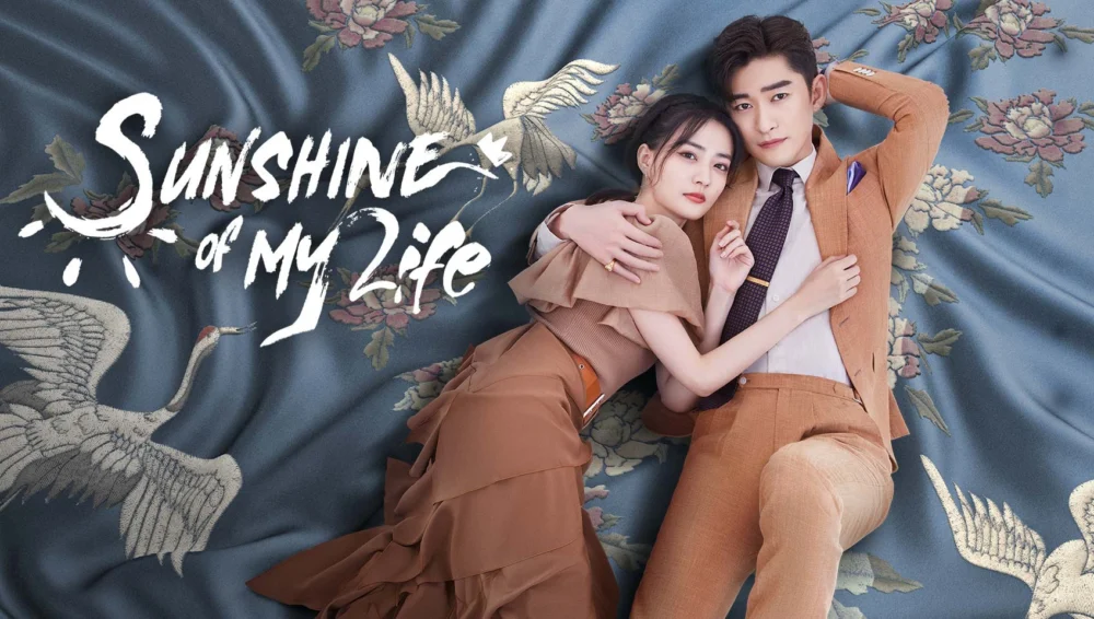 Nếu Em Bình An Đó Mới Là Ngày Đẹp Trời - Sunshine of My Life 