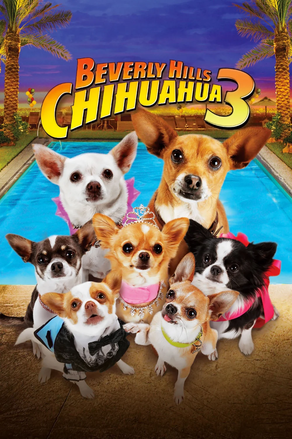 Những Chú Chó Chihuahua 3 - Beverly Hills Chihuahua 3: Viva la Fiesta!