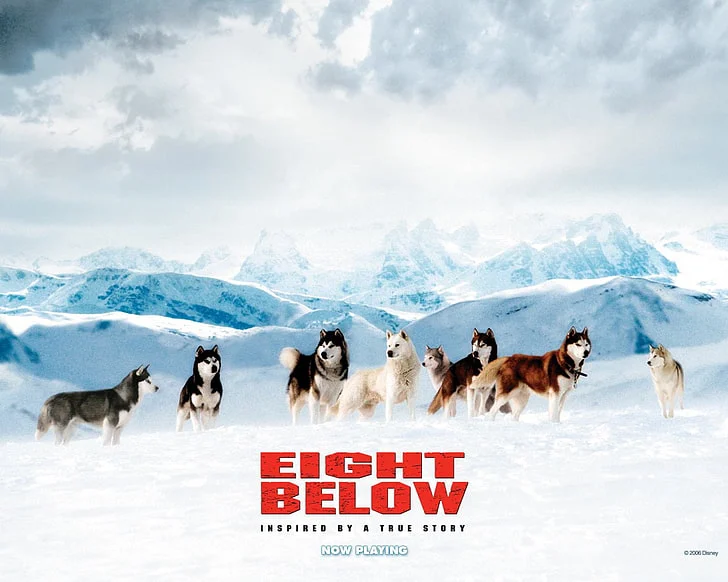 Những Chú Chó Dũng Cảm - Eight Below