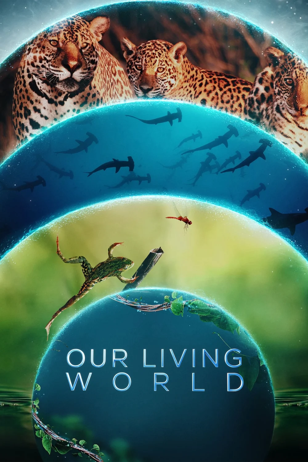 Thế giới sống của chúng ta - Our Living World