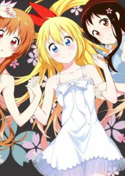 Tình Yêu Ngang Trái - NiseKoi