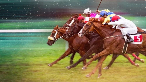 Phi Nước Kiệu Đến Ngôi Vương - Race for the Crown